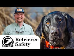 Retriever Safety Pt 2: Cold-Weather and Hunting Season