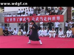 陈师行龙华拳---Wudang Kungfu | Long Hua Quan( dragon fist form)
