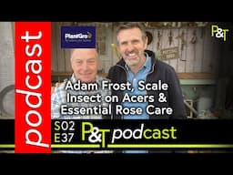 Adam Frost from BBC Gardeners World, Scale Insects on an Acer & Essential Rose Care!