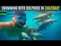 Island Life in Zanzibar, Tanzania! 🇹🇿