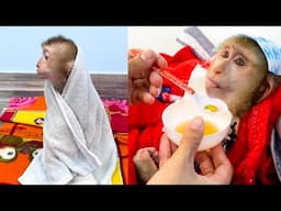 Mom takes care of Monkey Kaka when she has a cold
