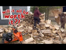 Solo Homesteading: "No one said it would be easy"