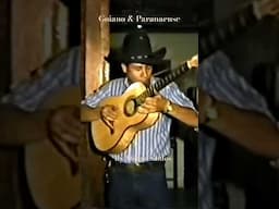 Violeiro como esse, nunca mais!