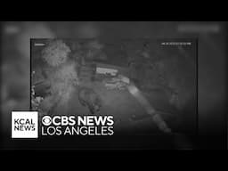 Security cameras in Burbank neighborhoods spot bear roaming through yards