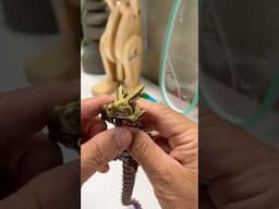 3D Printer Dragon
