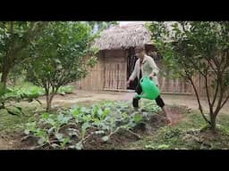Lý Thị Mai | Cảnh đẹp hùng vĩ của núi rừng Tây Bắc