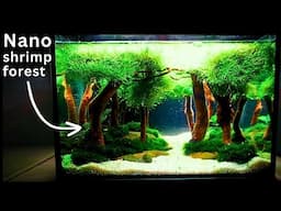 EASY No-Filter Forest Shrimp Tank With Day and Night Modes!