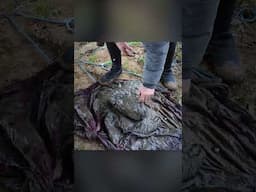 DISRESPECTED: What We Found in This River Is Unbelievable!