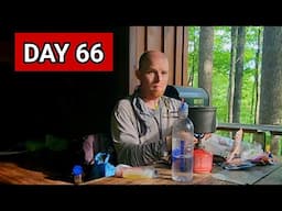 Day 66: Connecting the Dots