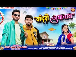 Vandari Juvanay 😜वांदरी जुवानाय ||Remix DJ Piyuah‼️Singar Piru Solanki And Pratap Solanki New Timli