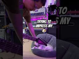 I Tried to Impress My Dog With Guitar