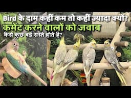Cockatiel Price in India | Pet Shop vs Bird Market | Quality vs Price | सस्ता चाहिए या अच्छा ?