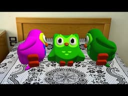 Duolingo Brought His Girlfriends Home! (Duolingo in Real Life)