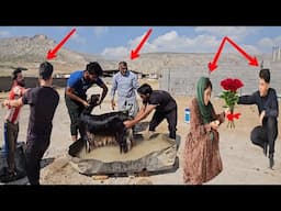 Zahra's Nomadic Family: From Detoxifying Sheep to Bahram's Conflict with the Police in Love