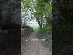 A wee walk to the sea ❤️ #ambient #spring #scotland #nature #ambient #slowliving