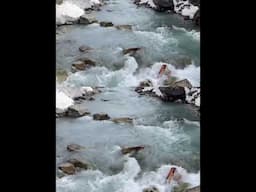 Indus River சிந்து நதி | India Vs Pakistan