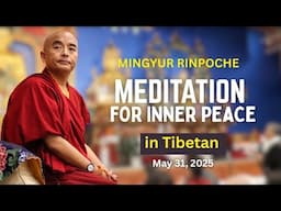 Mingyur Rinpoche: Inner Peace & Meditation in Tibetan, May 31, 2025 Toronto Tibetan Community Centre