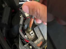 Battery Terminal Gel from SHELL #automobile #adventuremotorcycle #himalayan #dualsportmotorcycle