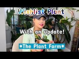 I FINALLY got *this* plant 👀 😍
