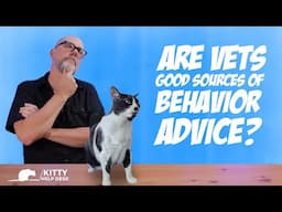 Should You Ask Your Vet for Cat Behavior Advice?