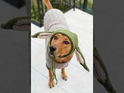Baby Yoda Pattern Dog Sweater