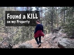 OMG There was a kill on my property S9-2