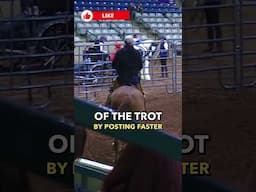 Shape Your Trot with the Right Posting Rhythm