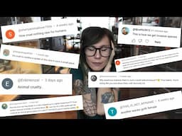 Responding to accusations & criticism