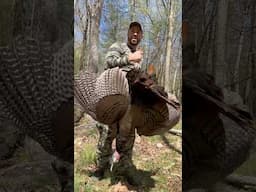 Big ole Public land turkey