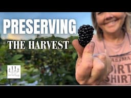 PRESERVING THE HARVEST | June 2025