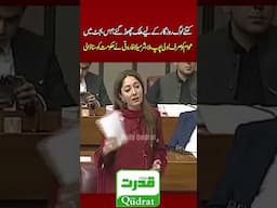 "Public Gets Budget Lollipop! | MNA Sharmila Faruqui Slams Govt Over Economic Crisis"
