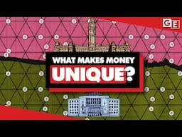 What makes money unique? (Animated explainer video)