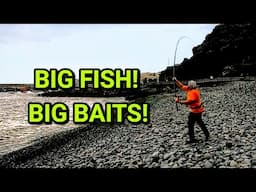 Big game shore angling in the canaries!