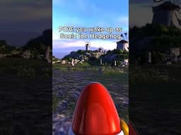 POV: you wake up as Sonic the Hedgehog #sonic #sonicthehedgehog #sonicmeme #sonicmemes #pov