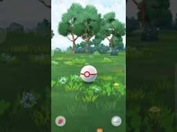 4th Shiny Shadow Cubone Encounter/4ème rencontre de Cubone Shiny de l'ombre!