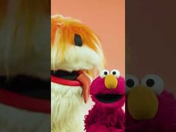 A BIG Dog! #sesamestreet