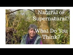 Natural or Supernatural? What Do You Think?