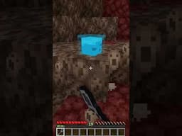I added Souls of The Innocent into #minecraft #cursedminecraft #minecraftmemes