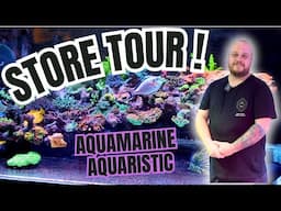 Easter Corals at Aquamarine Aquaristic