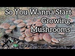 Growing Your Own Mushrooms on Logs: Oyster Mushroom Farming