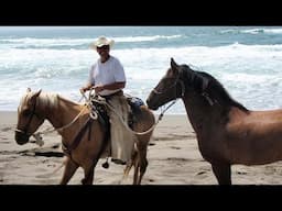 Hey Horsy People - Sunday Morning Live - Is Laying Down A Horse Bad ? It Depends