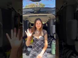 No Build Honda Element Vanlife!