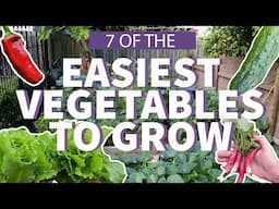 7 Easiest Vegetables to Grow 👩‍🌾