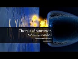 The Role of Neurons in Communication