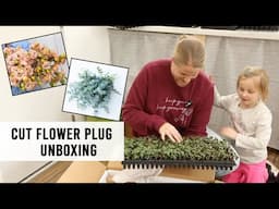 Unboxing Cut Flower Plugs from Farmer Bailey for my Hoophouse : Sunshine and Flora