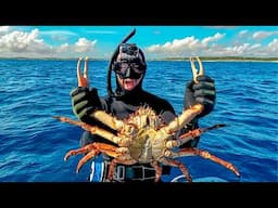 Catching GIANT Crab  (Day 27/100 Day Water World Challenge)