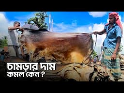 চামড়ার দাম এত কমে গেল কিভাবে ?