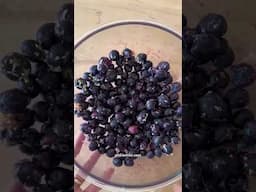 🍋 🫐 PREP AHEAD BLUEBERRY LEMON OVERNIGHT OATS.