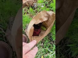 We always pick up a little litter on our way out. It can be a real grab bag out there. Follow us