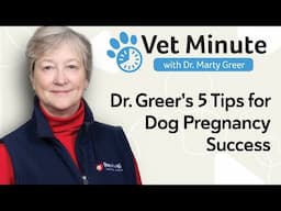 Improve Fertility & Canine Pregnancy Outcomes of Female Dogs
